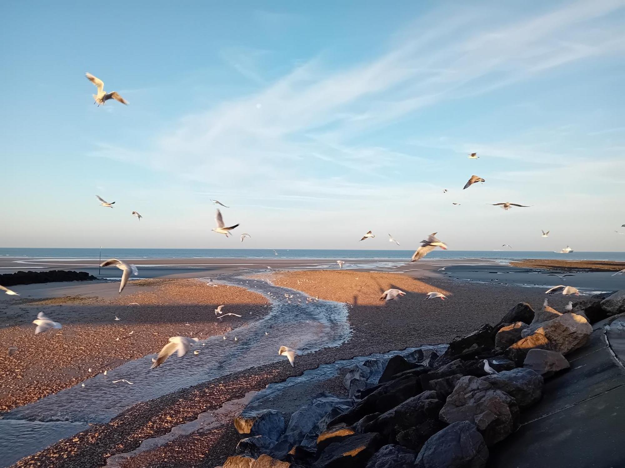 Thalassa Audresselles Esterno foto